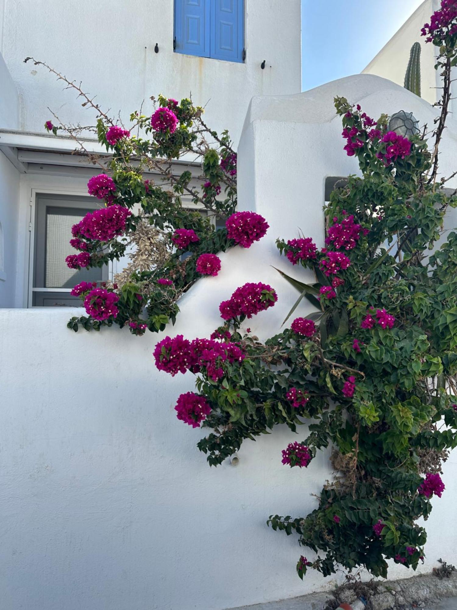 Casaornos Villa Buitenkant foto